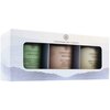 Lõhnaküünalde kinkekomplekt Chesapeake Bay Candle Gift Set, 3 x 96 g