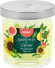Aroomiküünal Bolsius Floral Fusion Sunflower & Citrus, 25 h, 80x72 mm