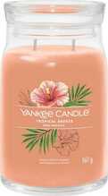 Aroomiküünal Yankee Candle Tropical Breeze, 567 g