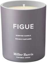 Lõhnaküünal Miller Harris Figue, 220 g