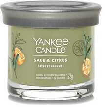 Aroomiküünal Yankee Candle Sage & Citrus, small tumbler 122 g