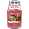 Lõhnaküünal Yankee Candle Peppermint Pinwheels, 110 - 150 h, 623 g