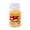 Lõhnaküünal Yankee Candle Mango Peach Salsa, 110 h, 623 g