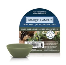 Lõhnaküünal Yankee Candle Silver Sage & Pine, 22 g