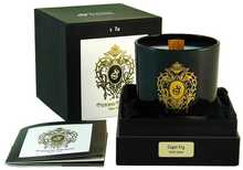 Lõhnaküünal Tiziana Terenzi Capri Fig, 170 g
