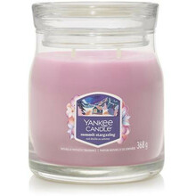 Lõhnaküünal Yankee Candle Summit Stargazing, 368 g