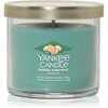 Lõhnaküünal Yankee Candle Holiday Winterfest, 122 g
