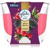 Lõhnaküünal Glade Winter Berries, 204 g