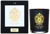 Lõhnaküünal Tiziana Terenzi Black Fire, 170 g