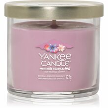 Lõhnaküünal Yankee Candle Summit Stargazing, 122 g