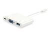 Dokk Equip USB-C to VGA + USB-A, 60W, valge, mudel 133462