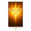 Infrapuna soojuskiirgur TRIO 430W, painduv küttepaneel, tuvi