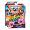 Mänguauto Monster Jam 1:64, 6044941