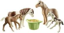 Playmobil Country 71000