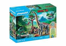 Playmobil Dinos 71819