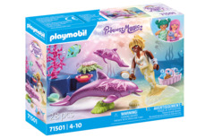 Playmobil Princess Magic 71501