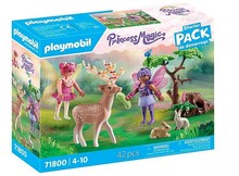 Playmobil Princess Magic 71800