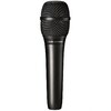 Mikrofon Audio Technica AT2010, must