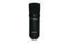 Mikrofon Marantz MPM1000U, must