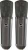 Mikrofon Warm Audio WA-87 R2 TS, titaan