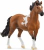 Mängufiguur Schleich Horse Club Mangalarga Marchador täkk 13978