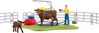 Mängukomplekt Schleich Farm World lehmade pesujaam 42574