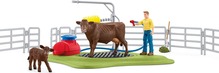 Mängukomplekt Schleich Farm World lehmade pesujaam 42574