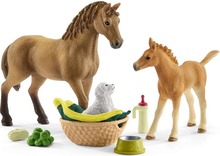 Mängukomplekt Schleich Horse Club 42432 Sarahs Cub hoolduskomplekt
