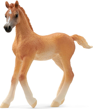 Mängufiguur Schleich Horse Club araabia varss 13984