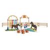 Mängukomplekt Schleich Farm Wild Pony Agility Training 42481, 53 cm