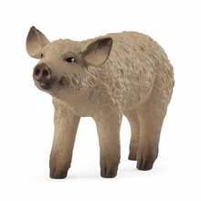 Mängufiguur Schleich Farm World ungari mangalica põrsas