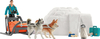 Mängukomplekt Schleich Wild Life Antarktis Expedition 14820