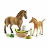 Mängukomplekt Schleich Horse Club Hobune ja varss 42432