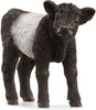Mängufiguur Schleich Farm World Galloway vasikas 13969