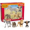 Mängukomplekt Schleich Wild Life stardikomplekt