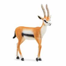 Mängukuju Schleich Wild Life Tomsoni gasell 14861