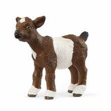 Mängufiguur Schleich Farm World kitsetall 13812
