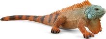 Mängukujuke Schleich Wild Life iguaan 14854, 10.5 cm