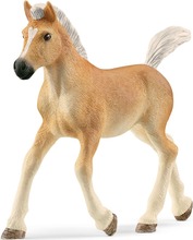 Mängufiguur Schleich Horse Club Haflingeri varss 13951