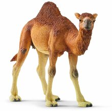 Mängukujuke Schleich Wild Life dromedaar 14832