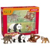 Mängukomplekt Schleich Wild Life Asia Starter Set 42736