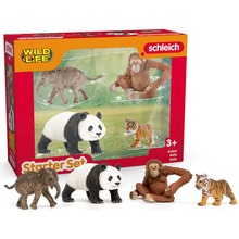 Mängukomplekt Schleich Wild Life Asia Starter Set 42736