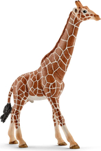 Mängukujuke Schleich Wild Life kaelkirjak, isane 14749