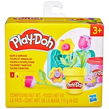 Mängukomplekt Play-Doh Lilled, G24765L0