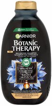 Šampoon Garnier Botanic Therapy Magnetic Charcoal, 400 ml