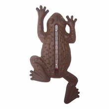 Malmist välistermomeeter Esschert Design Frog, 1,6 x 12 x 23,5 cm