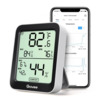 Termomeeter ja hügromeeter Govee H5075 Bluetooth ekraaniga