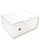 Arhiivikarp SM-LT, 335 x 250 x 150 mm, valge
