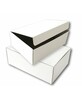 Arhiivikast SMLT, 255 x 120 x 355 mm, pealt avatav, valge