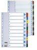 Vahelehed Esselte Mylar, A4, 1-12, värvilised